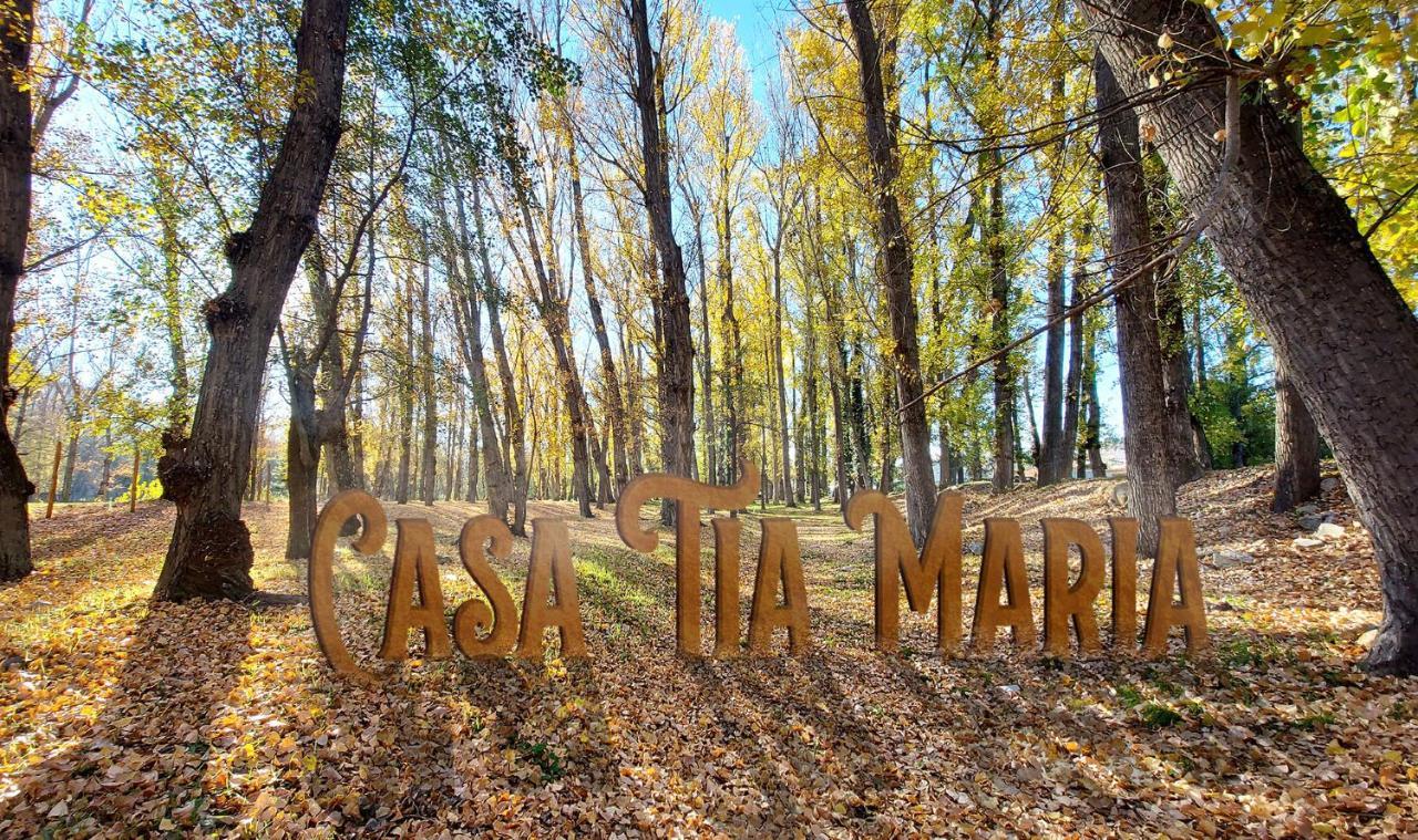 ナバルエンガ Casa Tia Mariaヴィラ エクステリア 写真